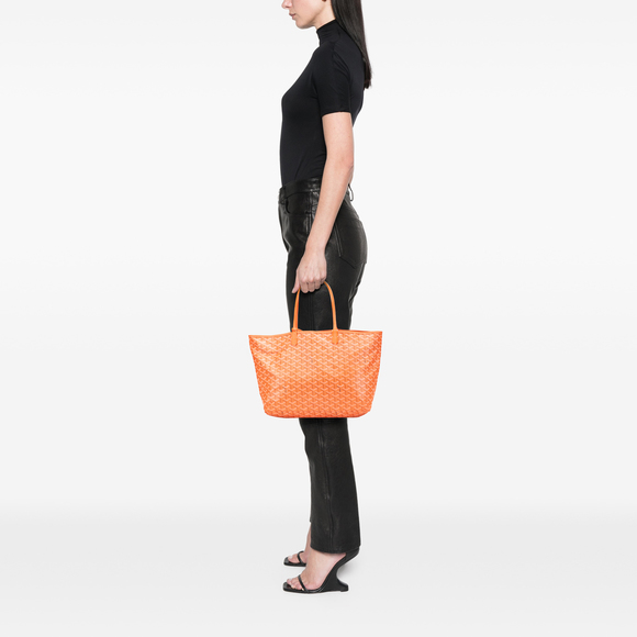 Pre-Loved Goyard Goyardine Saint Louis PM - Picture 11 of 12